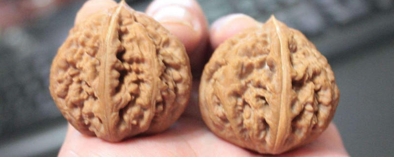 玩核桃的好處