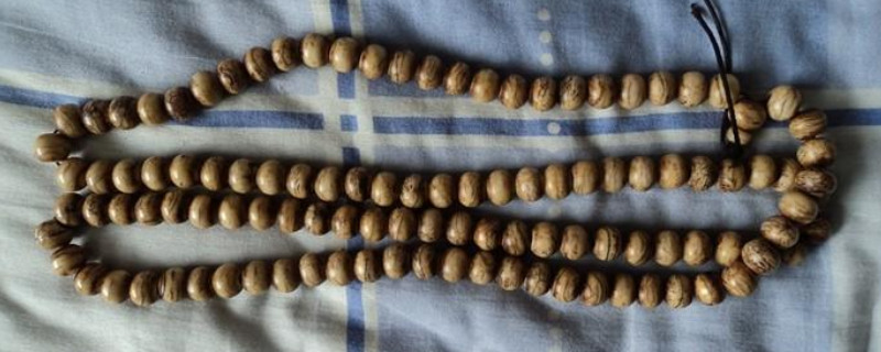 虎骨手串的作用及療效