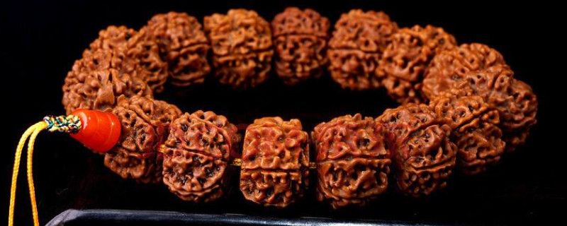 大金剛和小金剛區(qū)別