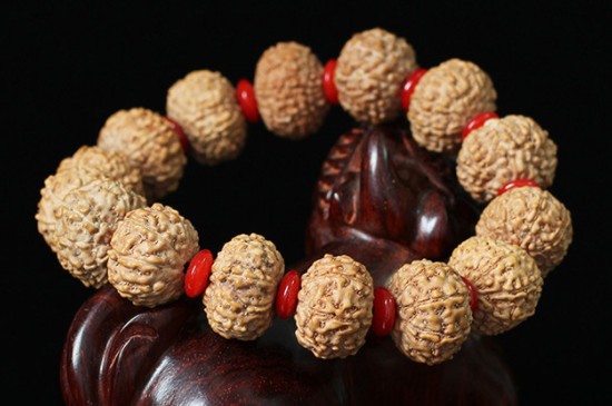 大金剛菩提種類