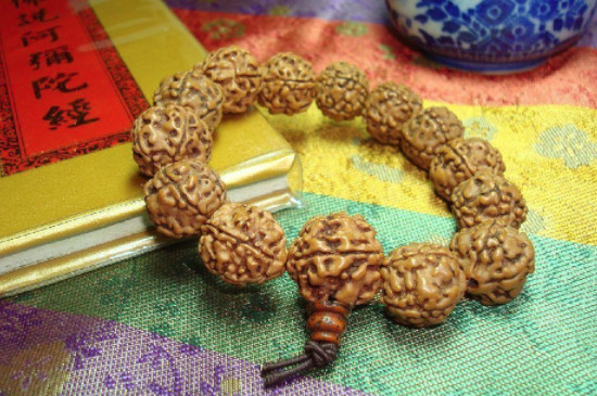 金剛藥籽是什么