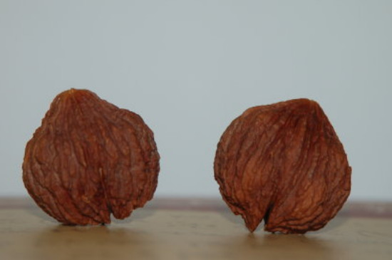 文玩核桃刷多久才能盤