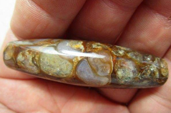 法螺天珠的鑒別方法