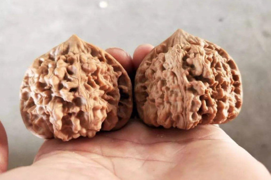 核桃變色的8個過程