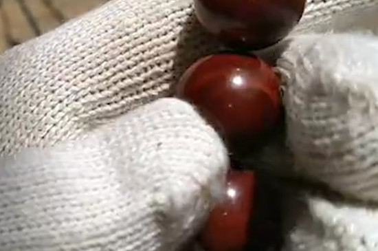 崖柏手串怎么盤