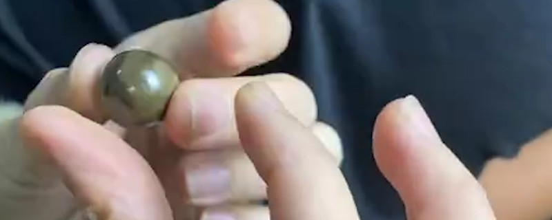 金絲楠木手串怎么盤玩和保養(yǎng)