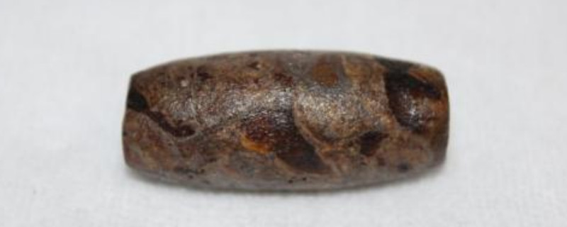 法螺天珠的鑒別方法