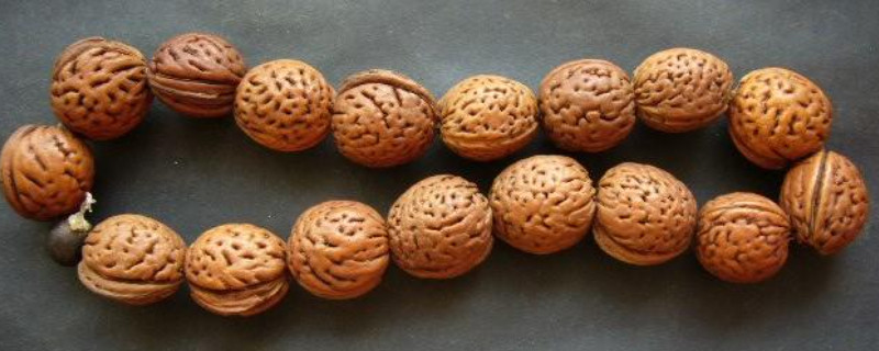 桃核手串開裂正常嗎