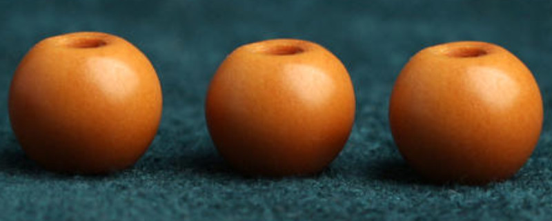 核尖珠是什么東西