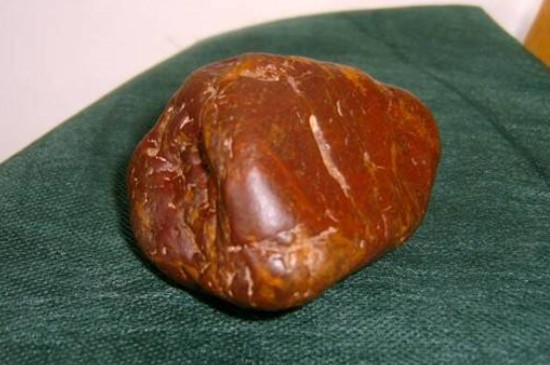 黃龍玉養(yǎng)人嗎