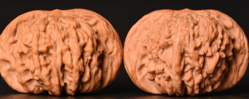 四座樓獅子頭特點