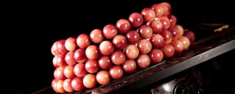 駱駝骨鑒別方法