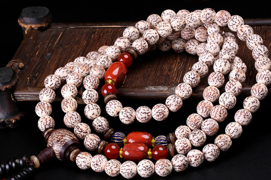 血絲菩提的寓意是什么